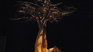 Čosi je za dverami…