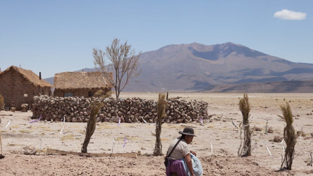 Utama ako vopred prehratý boj so spomienkami a nutnou zmenou