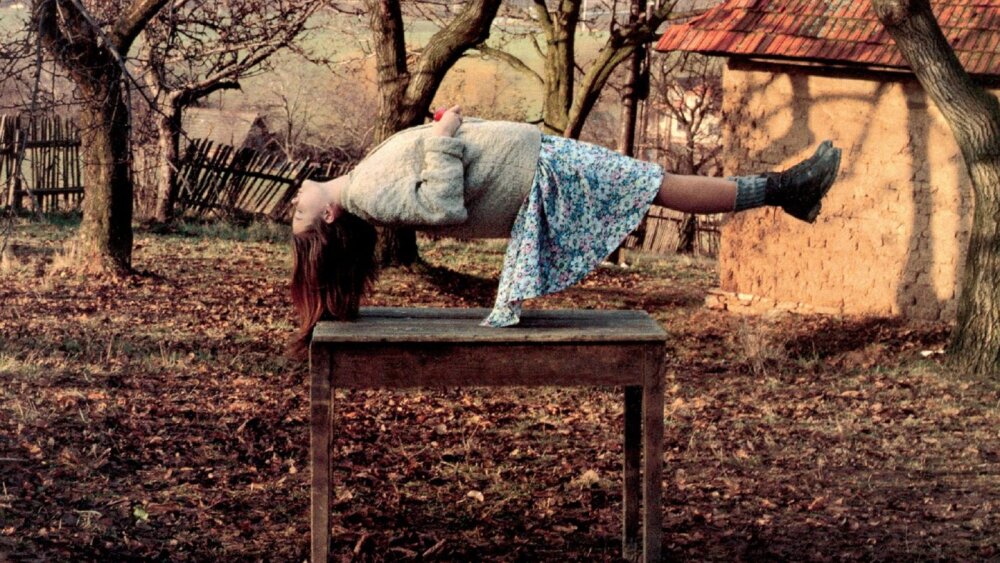 Na blu-ray vyšiel najoceňovanejší film Martina Šulíka Záhrada