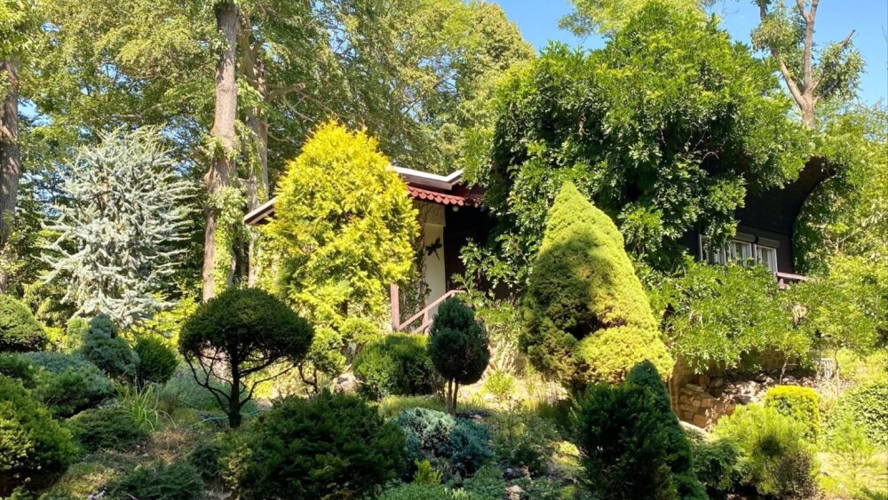 HUDBA MODRE: Na festivale sprístupnia chatu skladateľa Ilju Zeljenku