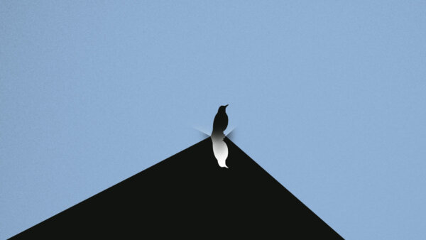 Nový album Mira Žbirku Posledné veci za otca dokončil a do života uviedol David Žbirka