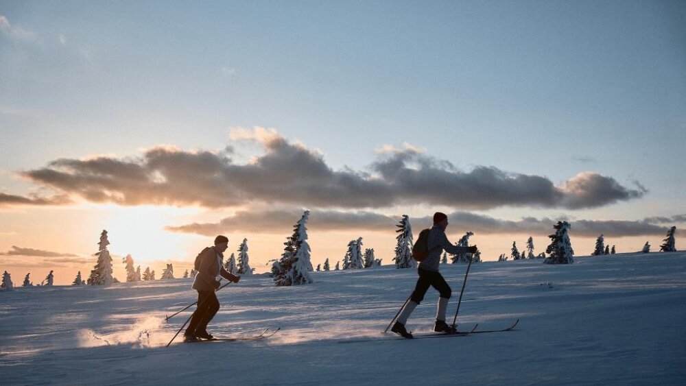 Tie najneuveriteľnejšie príbehy píše sám život. Presvedčí vás o tom nový film Posledné preteky