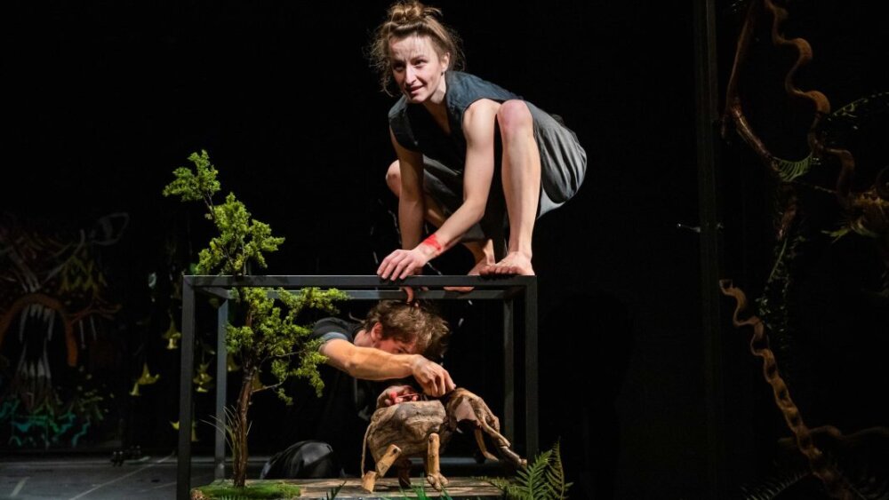 Bratislavské bábkové divadlo získalo už druhú Grand Prix