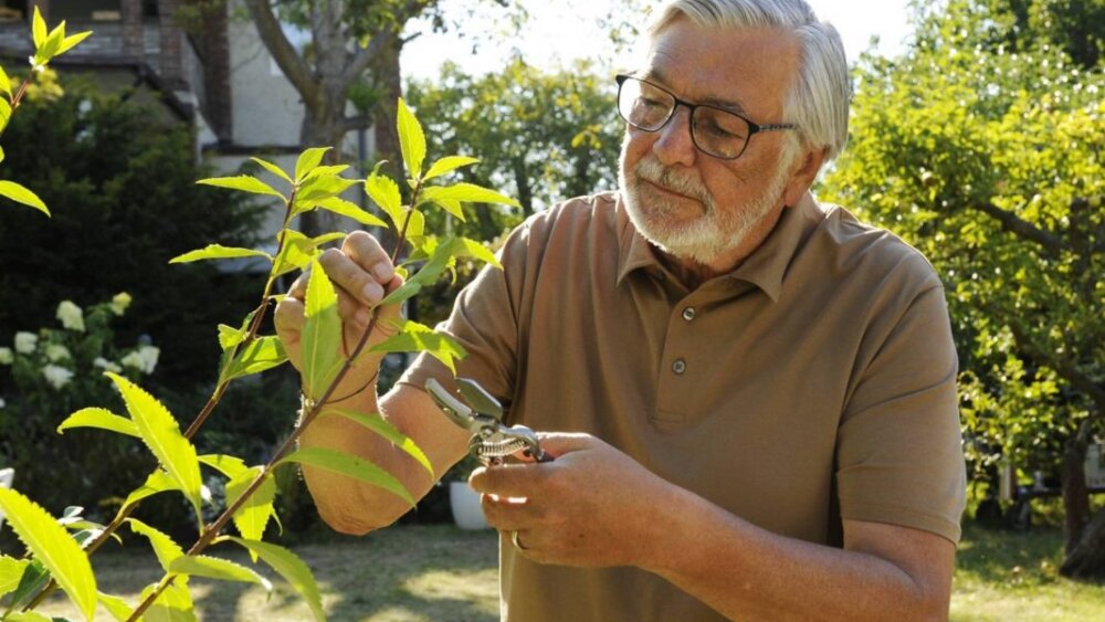 Jiří Bartoška bude v komédii Zbožňovaný čeliť následkom nevery