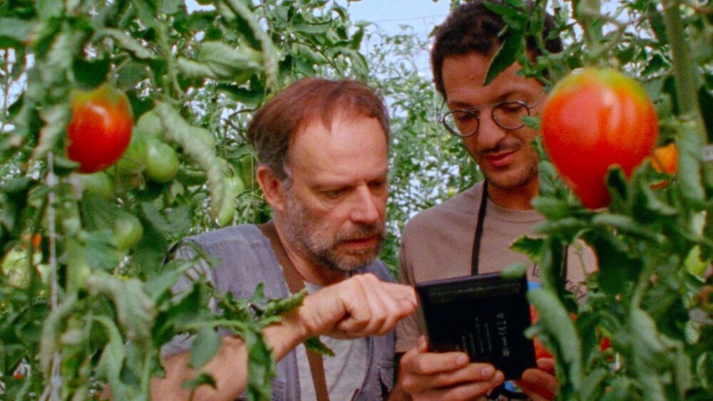 Keď doba prekračuje spiacich rojkov