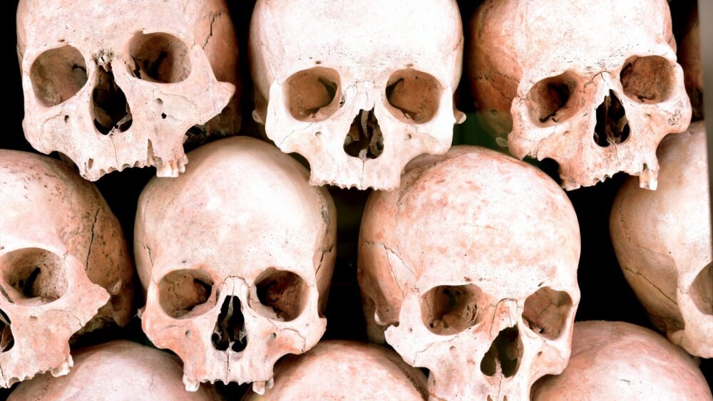 Človek v čase a priestore. Nová expozícia antropológie v Prírodovednom múzeu