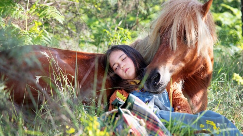 Rodinný film Poly prináša na plátna kín dobrodružnú záchranu cirkusového poníka