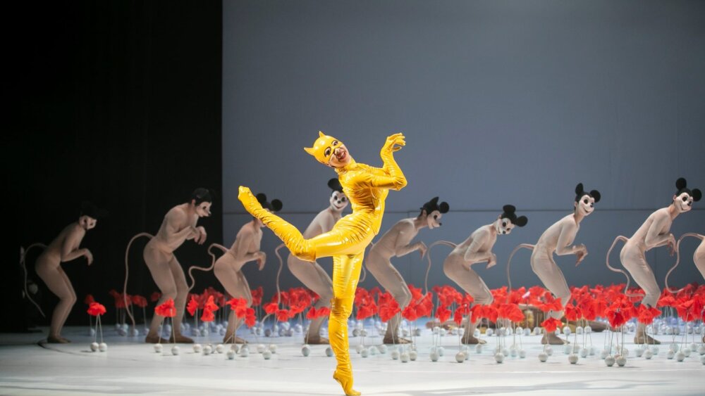 Balet ŠDKE pre deti: Čarodejník z krajiny Oz