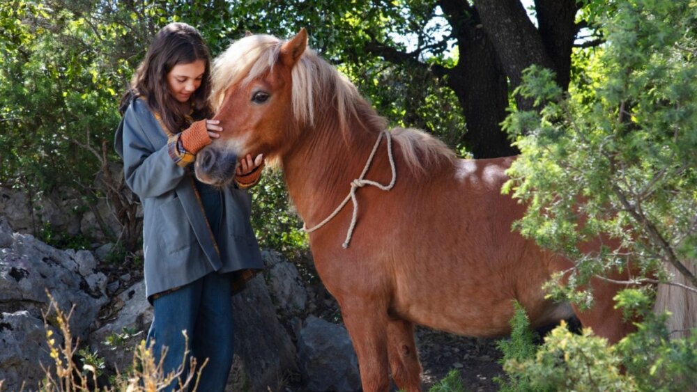 Nabitý jún v kinách: Rodinné snímky, veľkofilmy a hororová séria