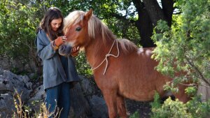 Nabitý jún v kinách: Rodinné snímky, veľkofilmy a hororová séria
