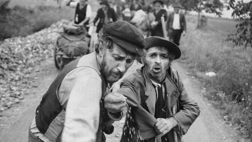 Blu-ray Elo Havetta Collection sa bude uchádzať o cenu na festivale v Bologni