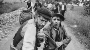 Blu-ray Elo Havetta Collection sa bude uchádzať o cenu na festivale v Bologni