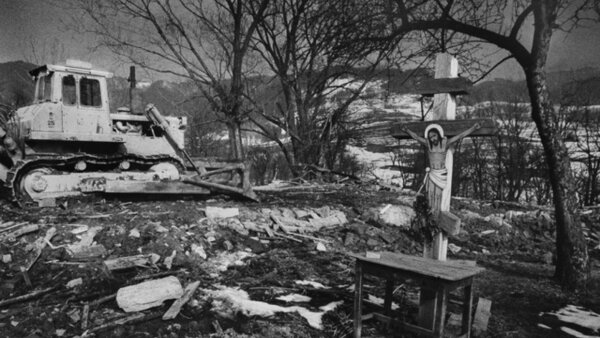 FEBIOFEST 2021 ocenil Potopu Martina Gondu a Strigov Barbory Berezňákovej