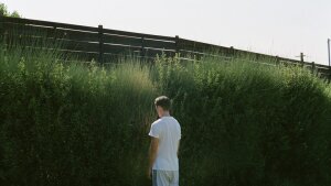 Prelomový film Yorgosa Lanthimosa sa vracia do kín