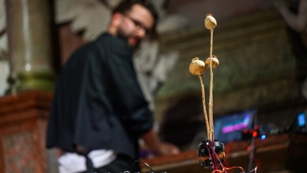 World Music Festival Bratislava 2025: Korene a budúcnosť