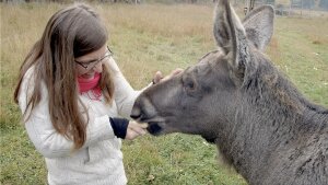 Hana Nováková: Dokončiť film Amoosed bolo proti fyzickým možnostiam aj proti zdravému rozumu
