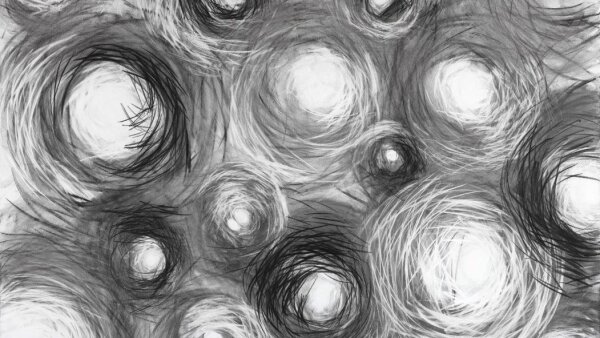 Mara Ohman v Galérii Starý Avion: Hniezdo ako mapa identity a pamäti