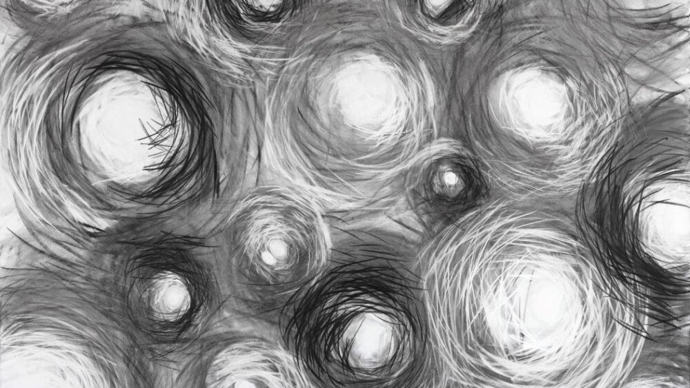 Mara Ohman v Galérii Starý Avion: Hniezdo ako mapa identity a pamäti