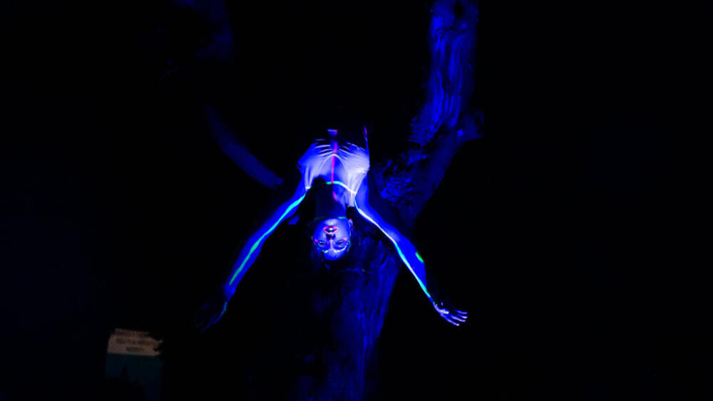 NOCTURNO 2025: téma krehkosti vo vizuálnom umení