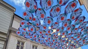 Dáždniky už po ôsmykrát skrášľujú Nedbalovu ulicu