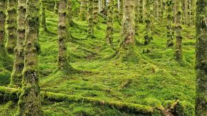 Zborový refrén a elektrická gitara dali piesni Modlitba pro Martu nový rozmer