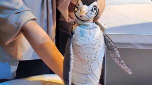 Dojemný príbeh inšpirovaný skutočnou udalosťou – Tučniak s červenou čiapočkou