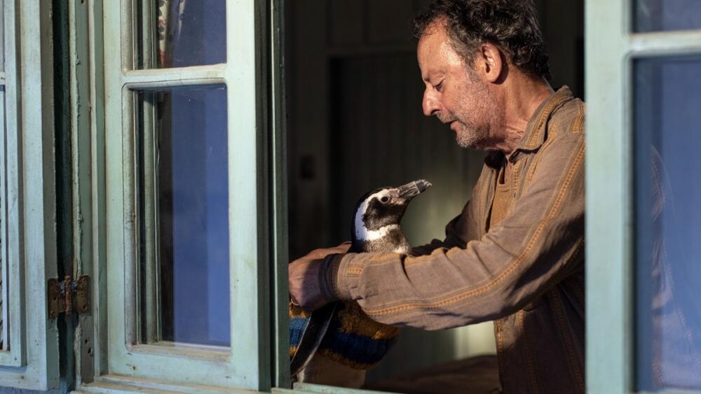 Na plátna kín prišiel výnimočný skutočný príbeh vo filme Môj kamarát tučniak