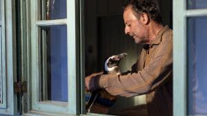 Na plátna kín prišiel výnimočný skutočný príbeh vo filme Môj kamarát tučniak