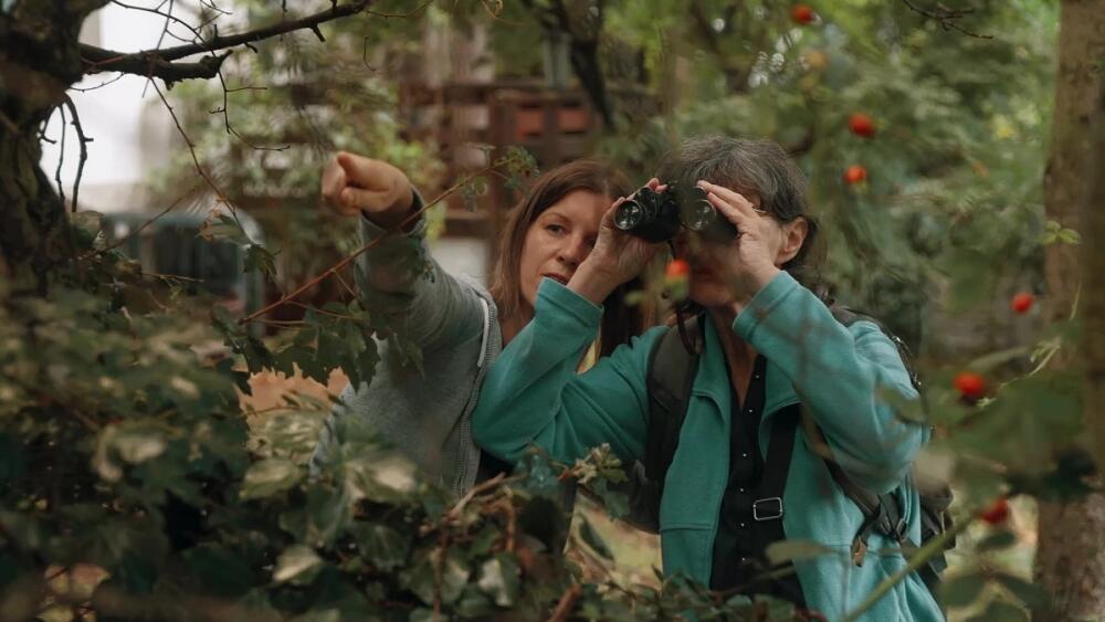 Do kín prichádza nový film Evy Križkovej VTÁČNIK s ambíciou pomôcť biodiverzite našich miest