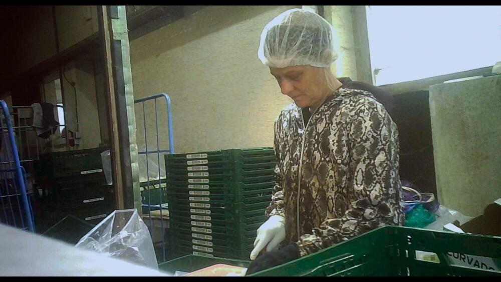 Film Hranice Európy - ako my budujeme západný blahobyt a niekto iný ten náš