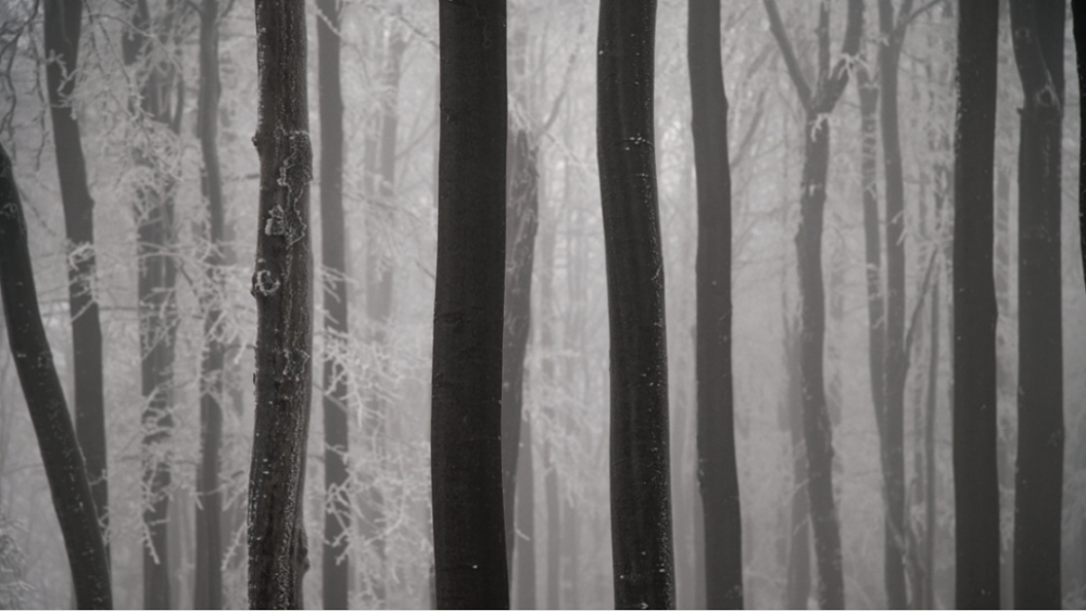 Skladateľ Ľuboš Bernáth vydáva nahrávku komornej tvorby s názvom Taora