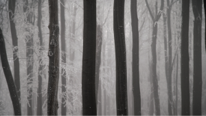 Skladateľ Ľuboš Bernáth vydáva nahrávku komornej tvorby s názvom Taora