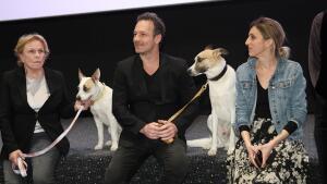 Do kín prišiel český film Gump: Sme dvojka, na premiére mu tlieskali známe tváre