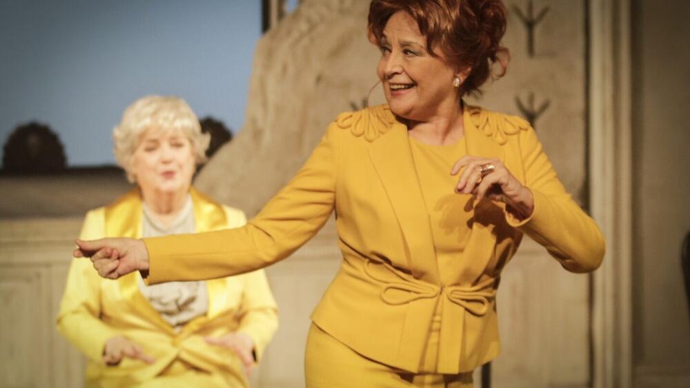 Divadelný román naposledy v SND 6. marca