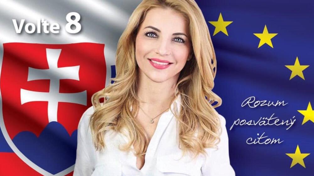 Demokracia na spôsob rezortu kultúry