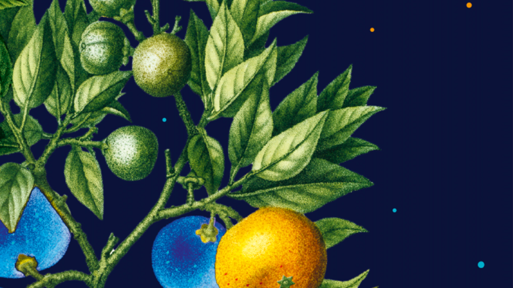 Vzduch, ktorý má nevyčísliteľnú cenu