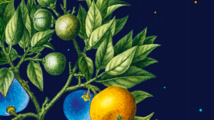 Vzduch, ktorý má nevyčísliteľnú cenu