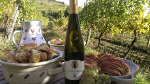 Festival vína na hrade Červený Kameň