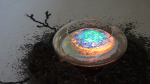 Maďarské umelkyne v košickej Šopa Gallery