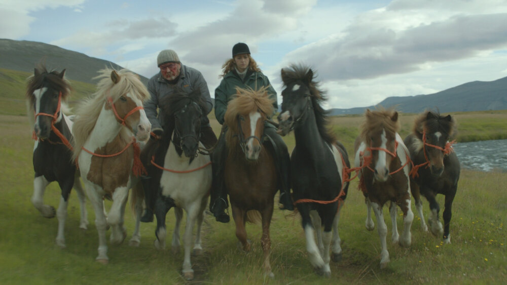 Esencia Islandu - výber filmov, kníh a hier o Islande
