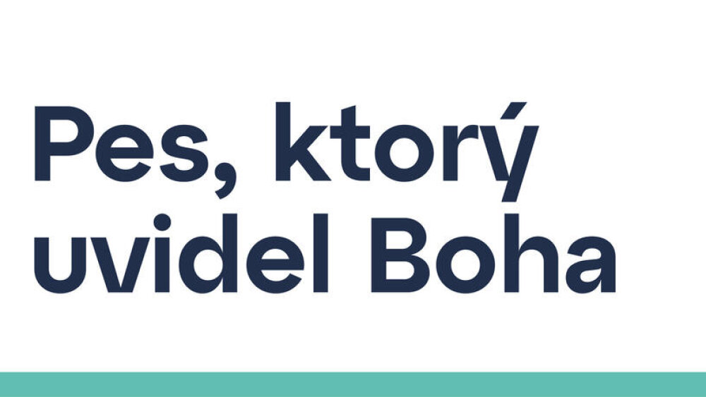 Pes, ktorý uvidel Boha