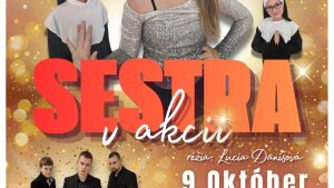SESTRA V AKCII