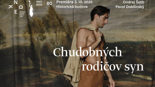Pavol Dobšinský: CHUDOBNÝCH RODIČOV SYN