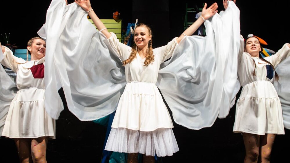 Ako sa hus vyparádila