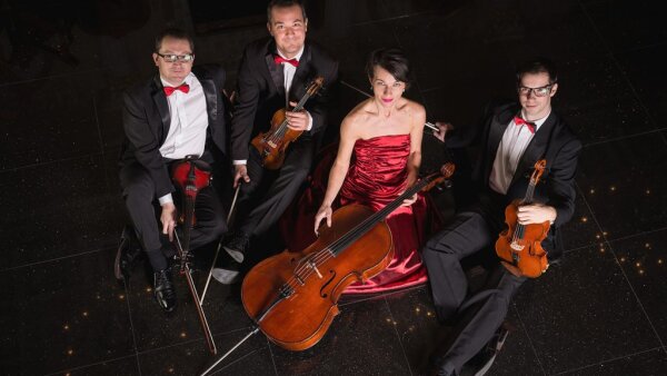 53S: VIANOCE S ADVENTURE STRINGS