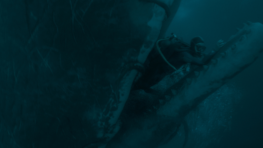 WHALEFALL-TF-4.jpg