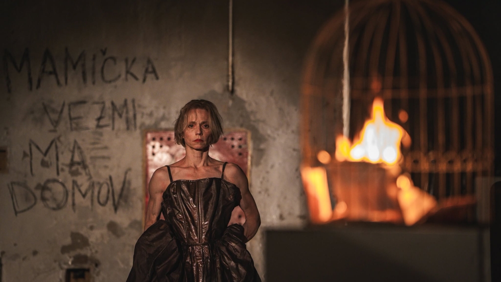 Camille Claudel - Anatómia vášne-8.jpeg