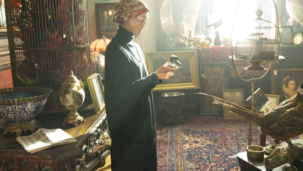 Piskot_foto Bontonfilm9.jpg