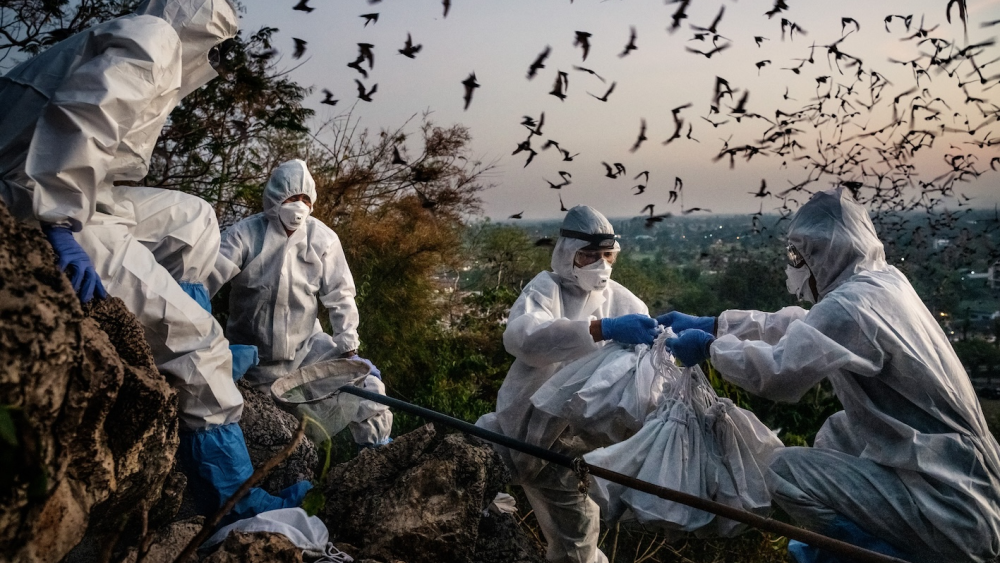 Kto za to môže otváral minulý rok prestížny dokumentárny festival Visions du Réel_MFF FEBIOFEST Bratislava.png