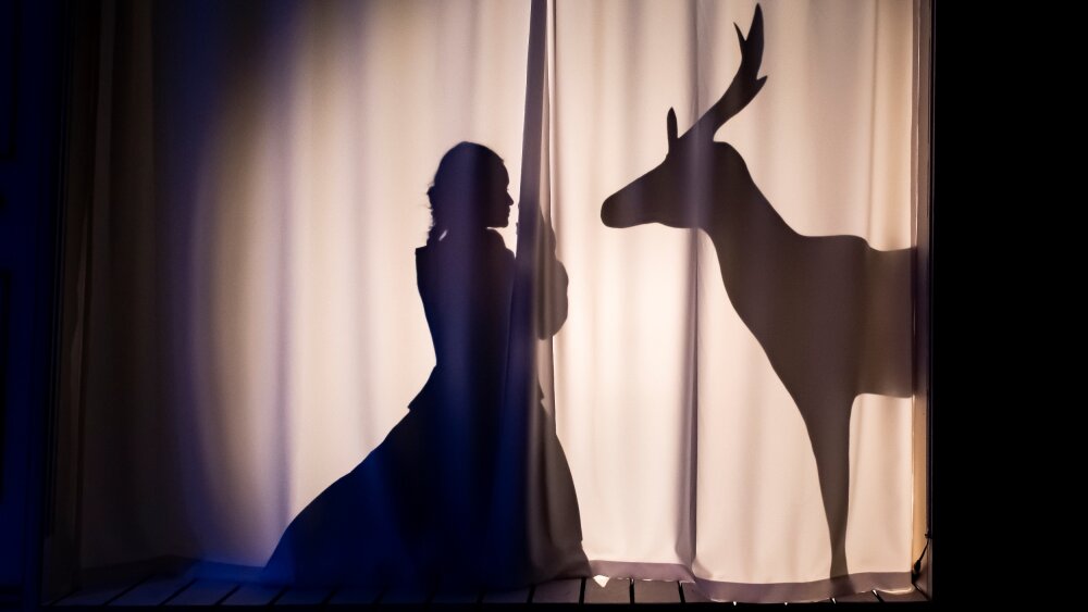 Obrázok v galérií - o%20palovi%20%282%29.jpg